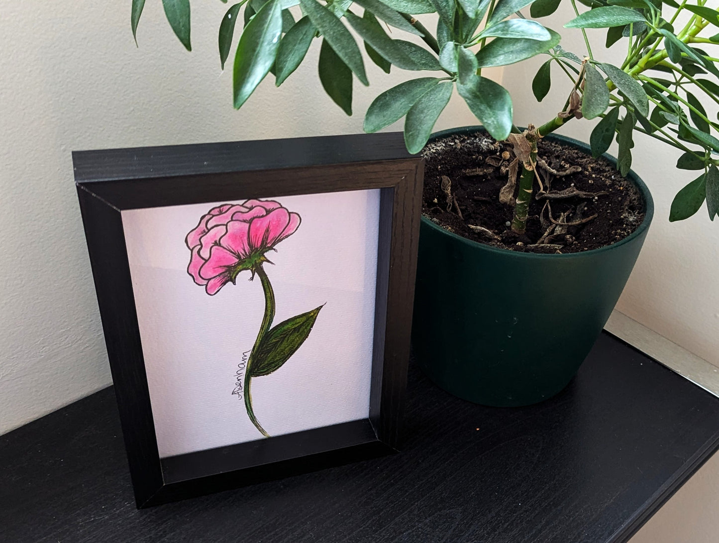 Pink Flower Watercolor Drawing, Framed