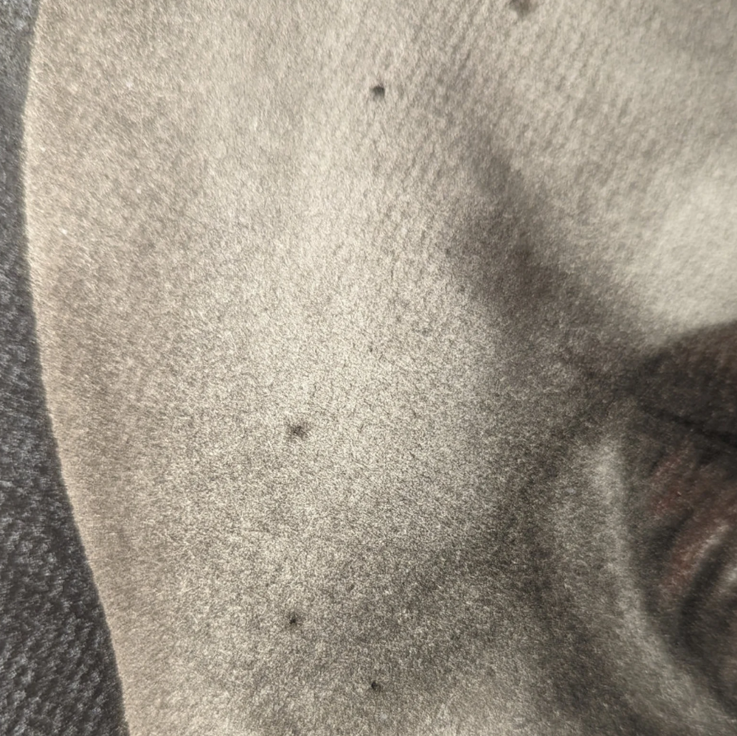 ORIGINAL - Pieces of Me #6, Hand Drawn Charcoal Self Portrait Art