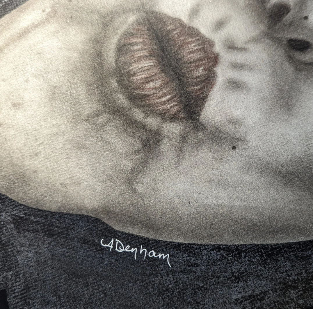 ORIGINAL - Pieces of Me #6, Hand Drawn Charcoal Self Portrait Art