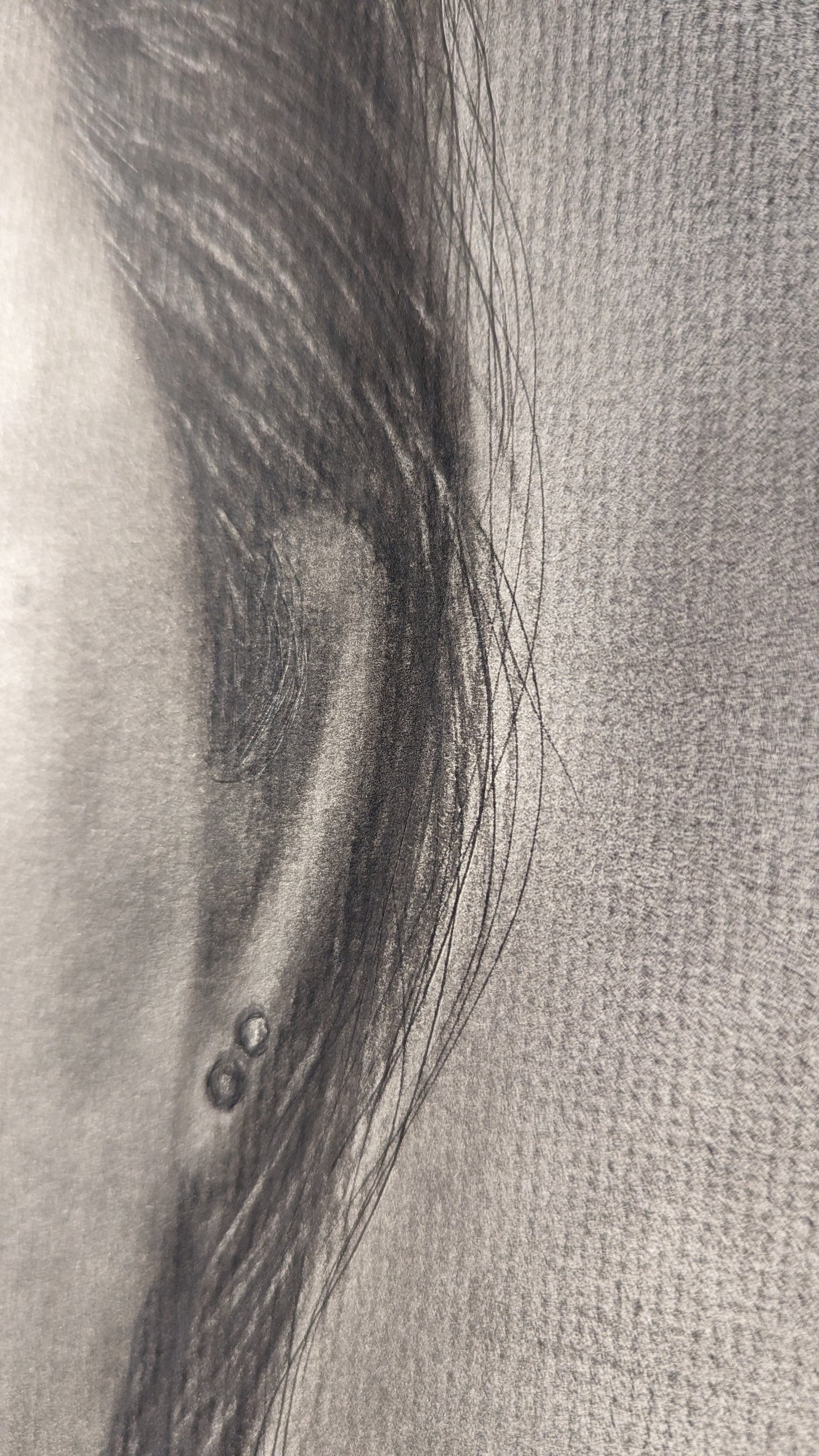 ORIGINAL Pieces of Me #5 - Hand Drawn Charcoal Self Portrait Art