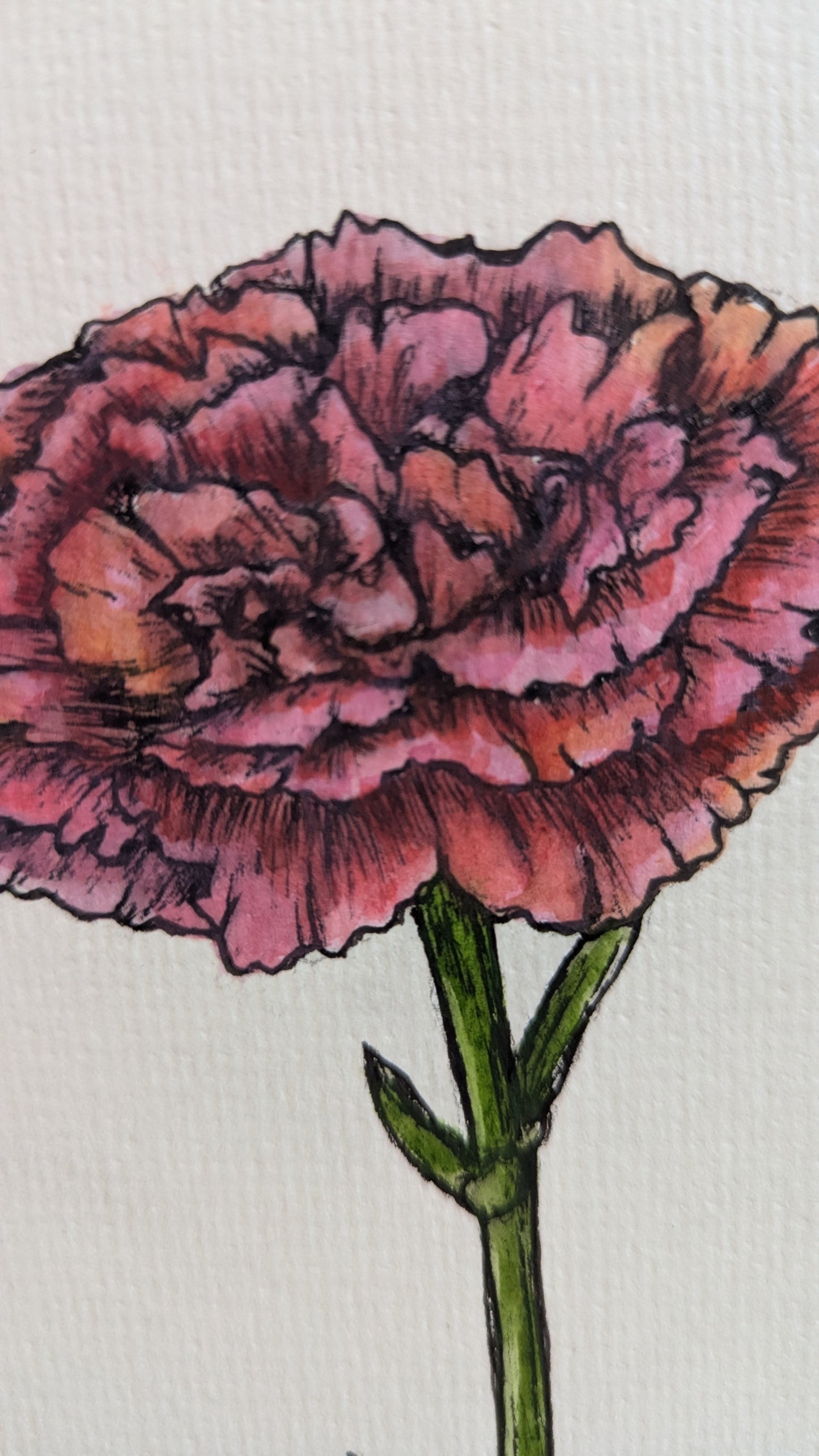 Greeting Card - Pink Carnation, Hand Painted Watercolor, Blank Inside