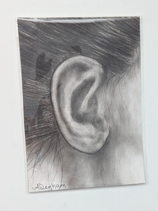 Charcoal Drawing of Ear, Original Artwork, Grey and Sepia tones