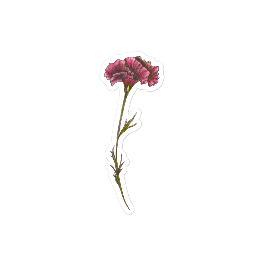 Kiss cut vinyl sticker - watercolor sketch pink carnation flower by Amy-Lynn Denham